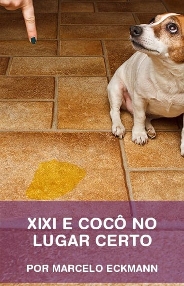 xixi-e-cocô-no-lugar-certo